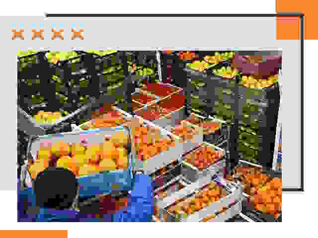 Перевозка скоропортящихся продуктов в Новоалтайске